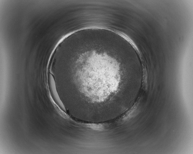 X0000087580996200704271302
