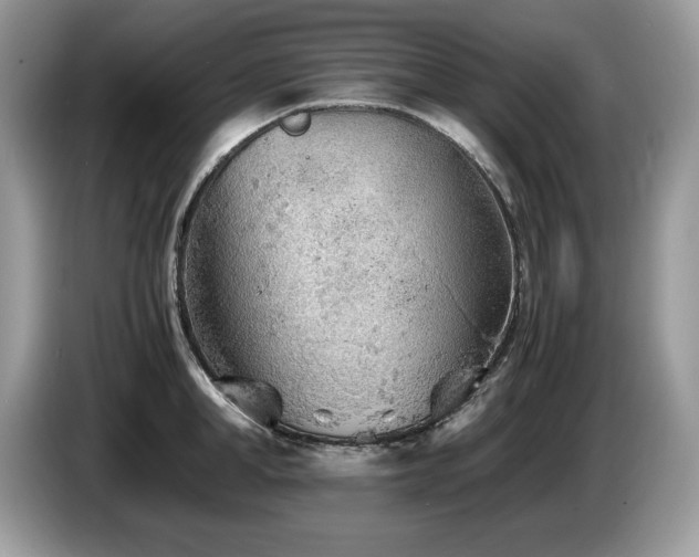 X0000087580998200704271302