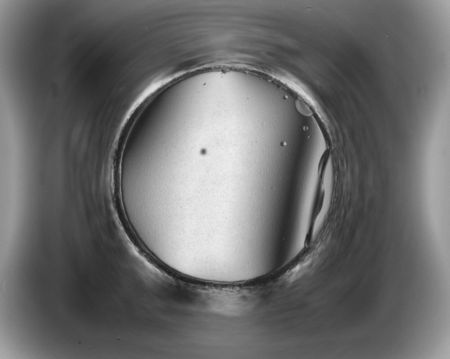 X0000087580999200704271302