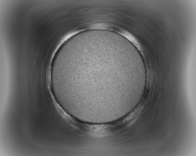 X0000087581000200704271302