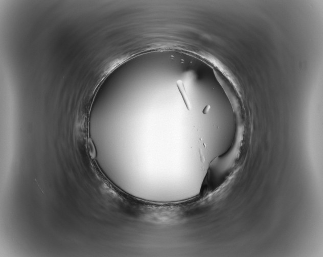 X0000087581001200704271302
