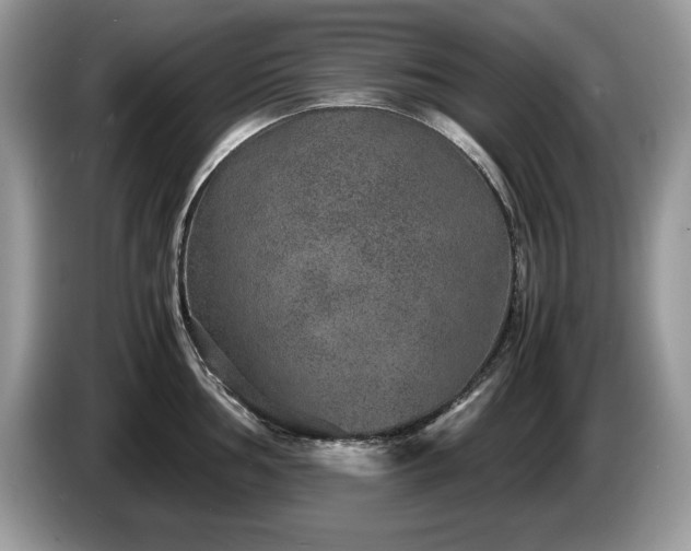 X0000087581002200704271302