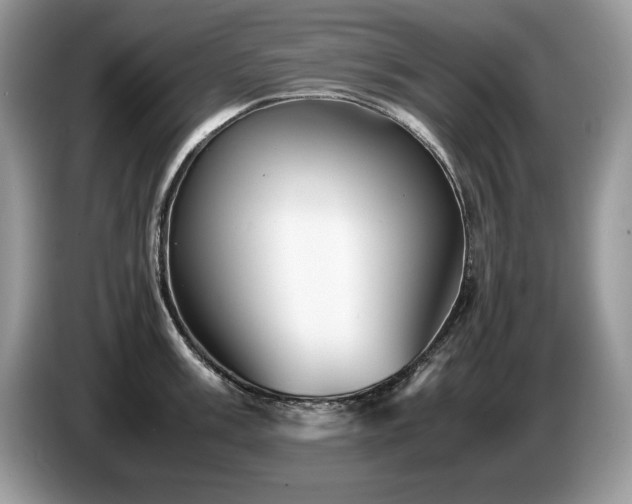 X0000087581003200704271302