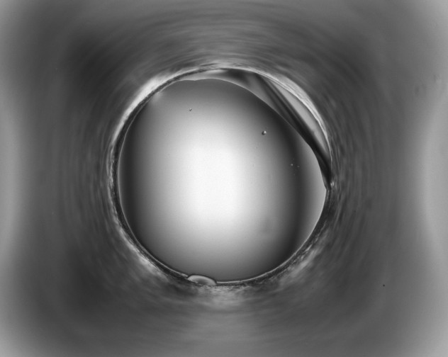 X0000087581005200704271302