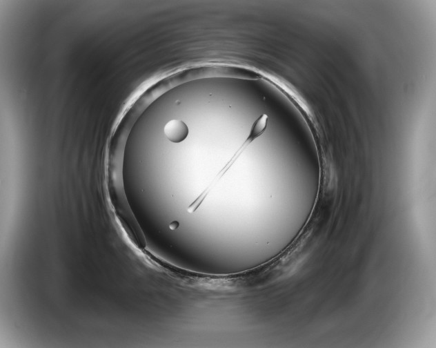 X0000087581006200704271302