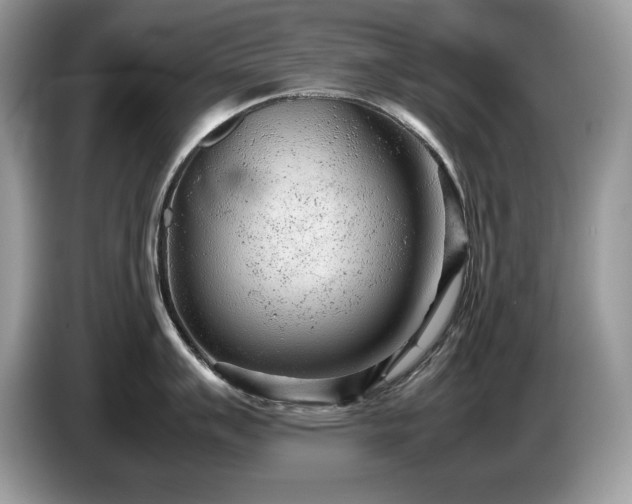 X0000087581007200704271302
