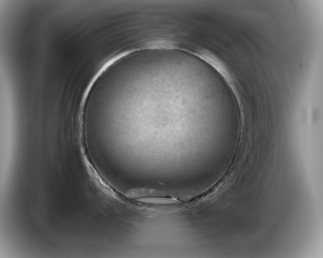 X0000087581008200704271302
