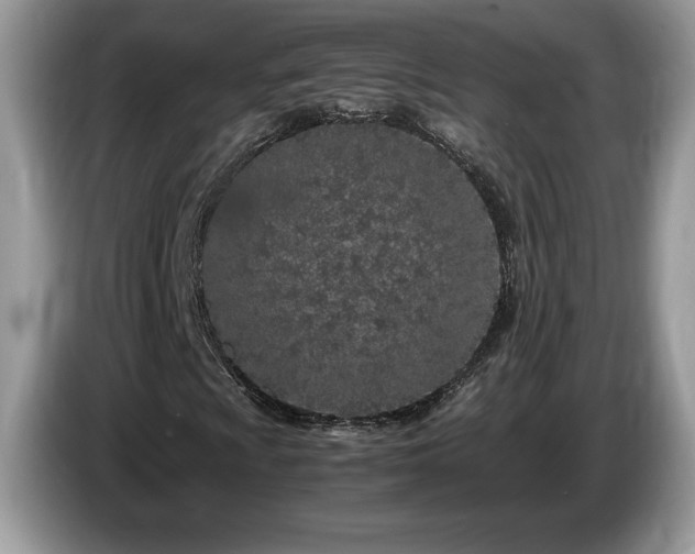 X0000087581009200704271301
