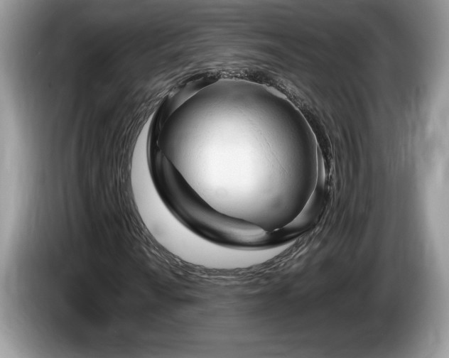 X0000087581010200704271301