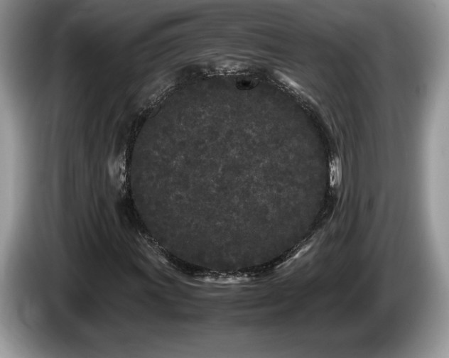 X0000087581011200704271301