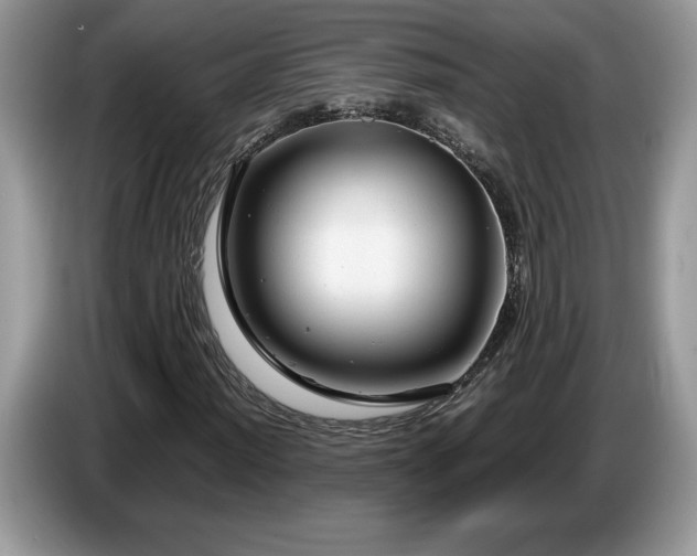 X0000087581012200704271301