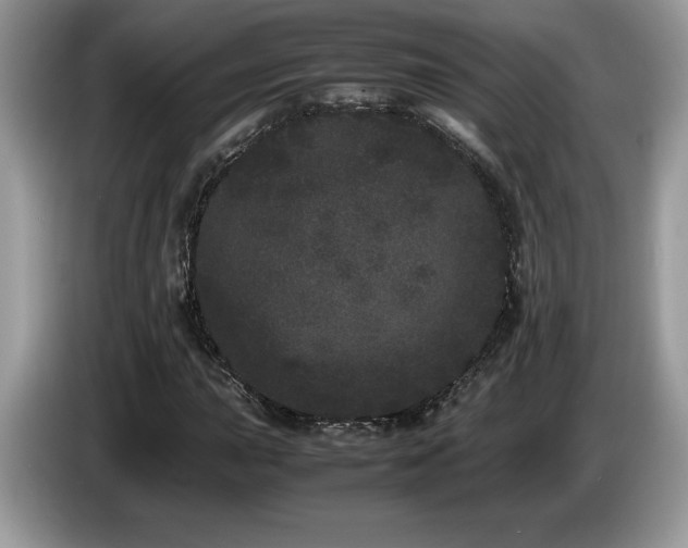 X0000087581015200704271301