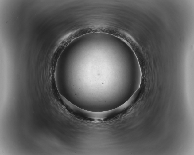 X0000087581016200704271301