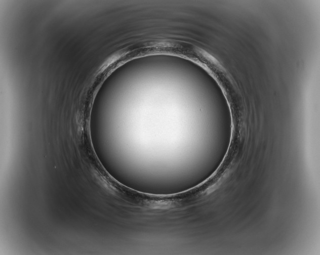 X0000087581017200704271301
