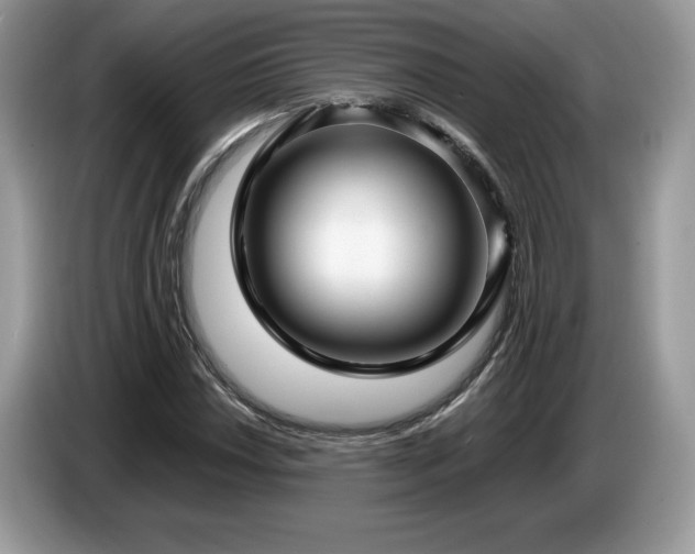 X0000087581018200704271301