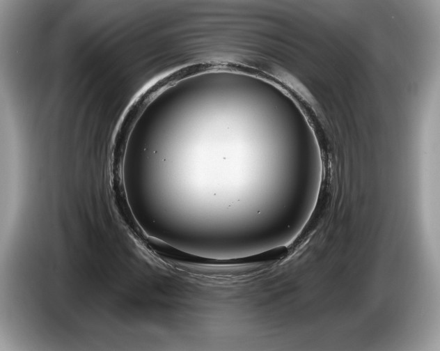 X0000087581020200704271301