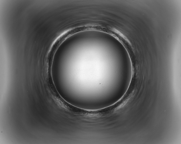 X0000087581021200704271301