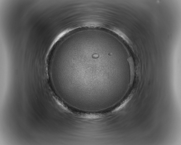 X0000087581022200704271301