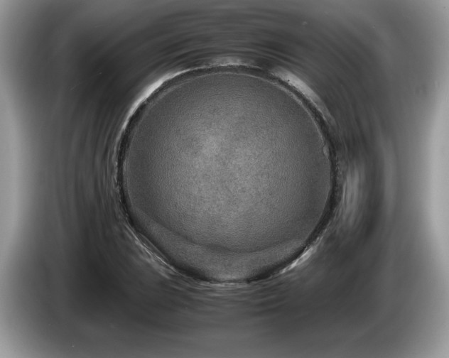 X0000087581023200704271301