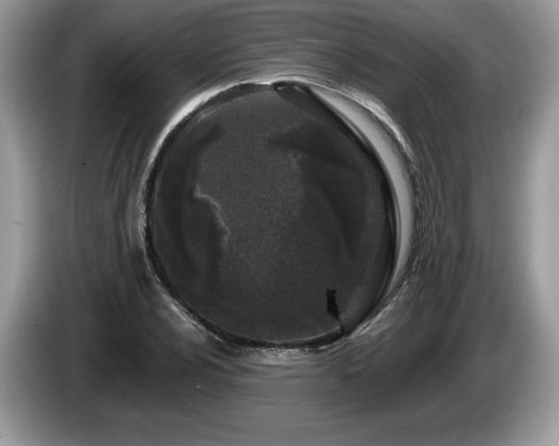 X0000087581024200704271301