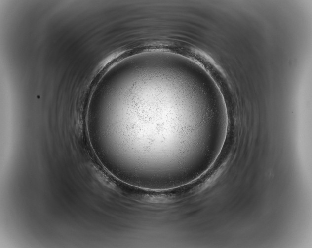 X0000087581025200704271301