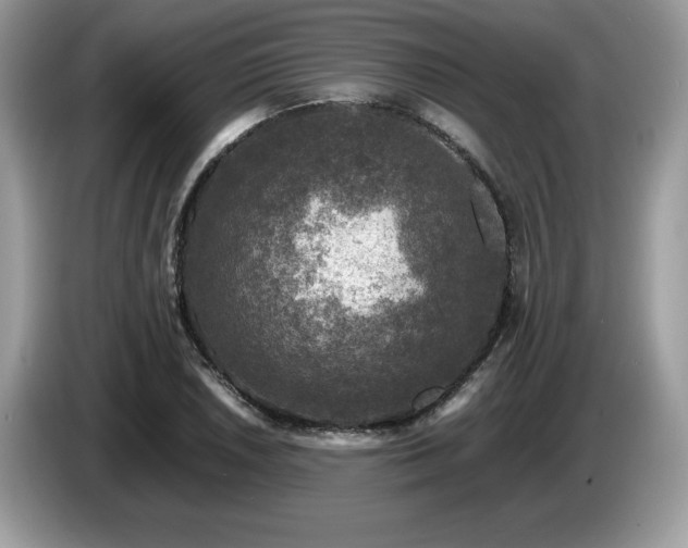 X0000087581026200704271301