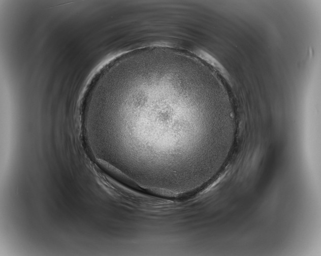X0000087581027200704271301