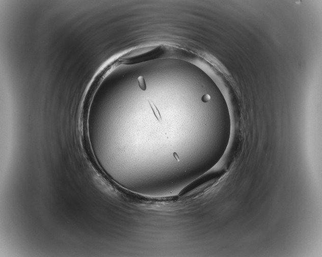 X0000087581028200704271301