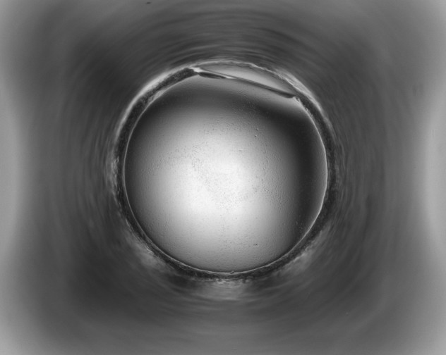 X0000087581029200704271301