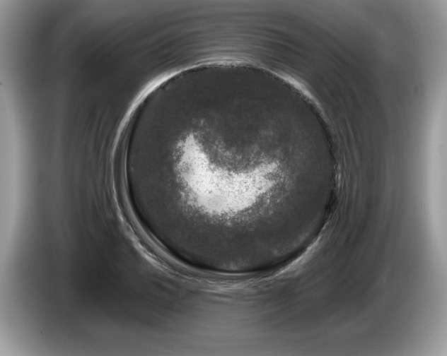 X0000087581030200704271301