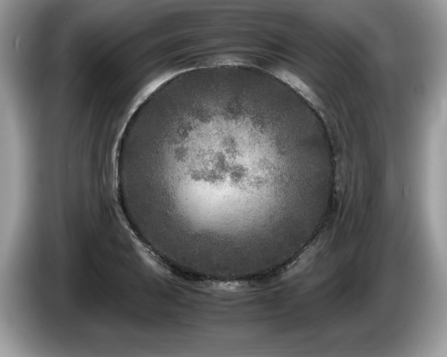 X0000087581031200704271301