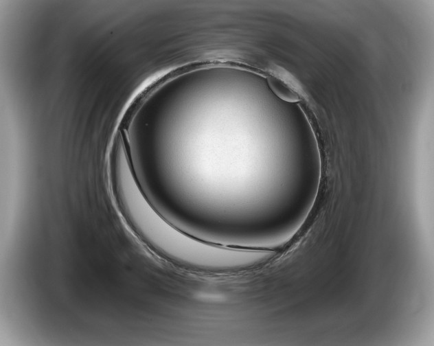 X0000087581032200704271301
