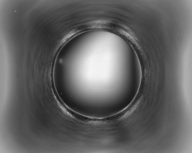 X0000087581033200704271301