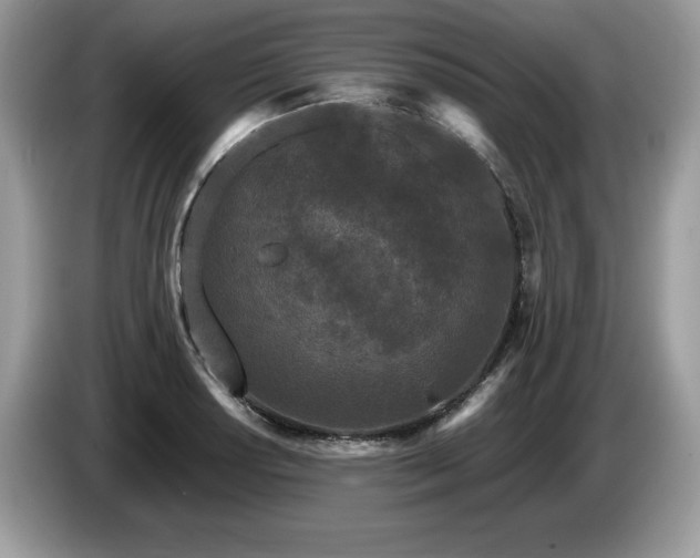X0000087581034200704271301