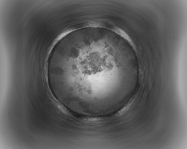 X0000087581035200704271301