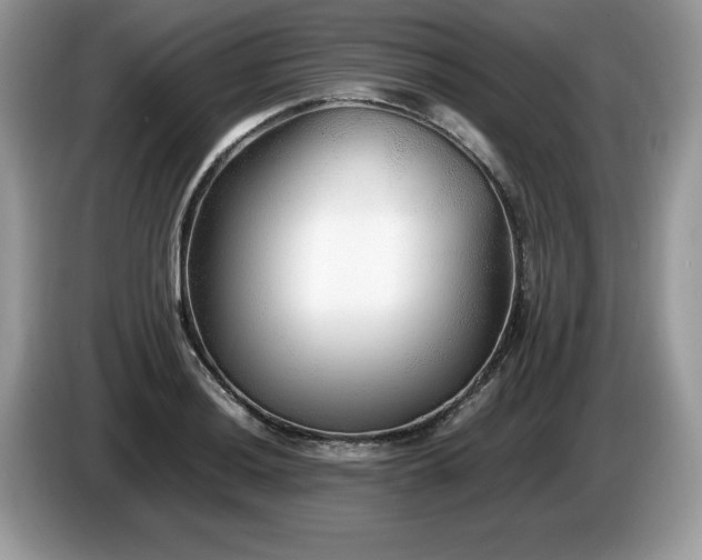X0000087581036200704271301
