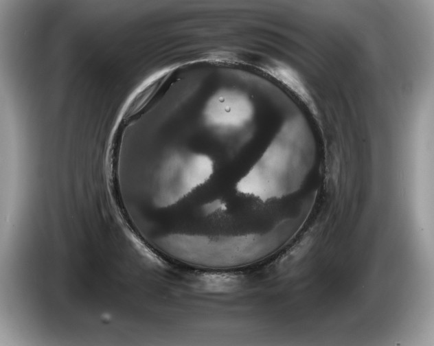 X0000087581037200704271301