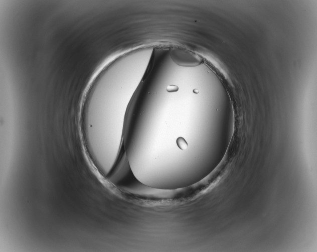 X0000087581038200704271301