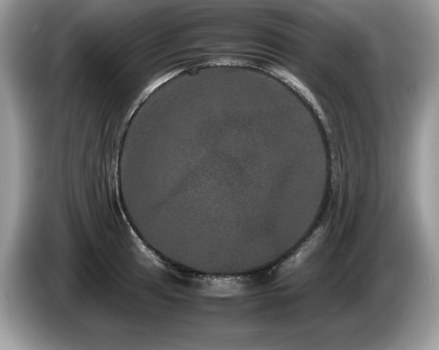 X0000087581041200704271301