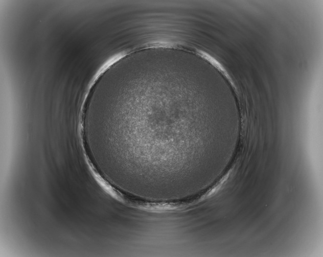 X0000087581042200704271301