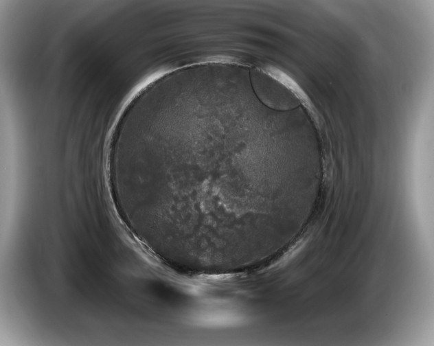 X0000087581043200704271301