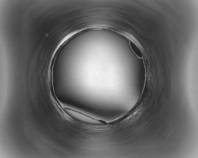 X0000087581044200704271301