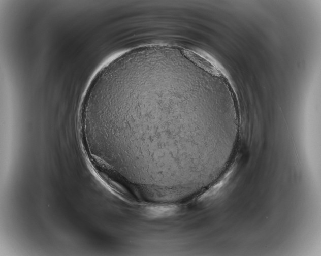 X0000087581045200704271301