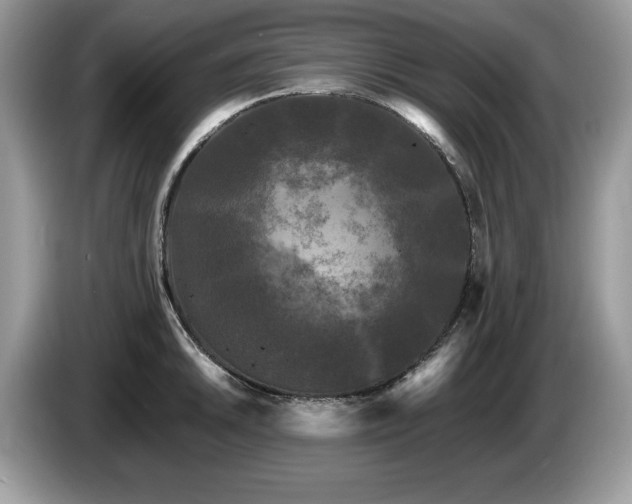 X0000087581046200704271301