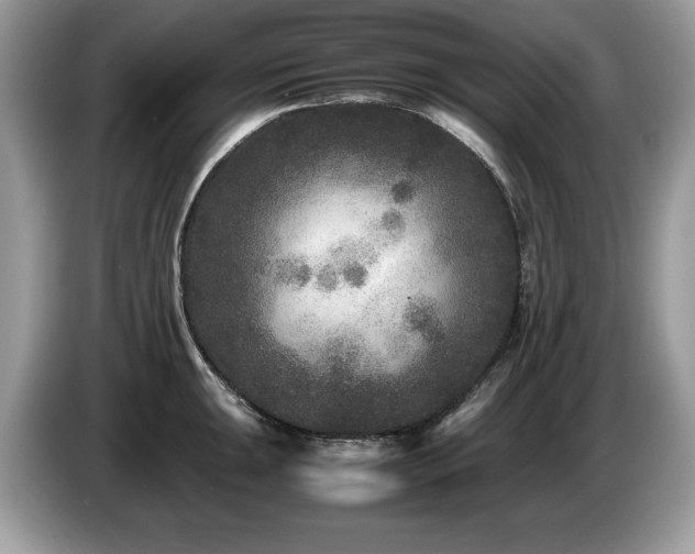 X0000087581047200704271301