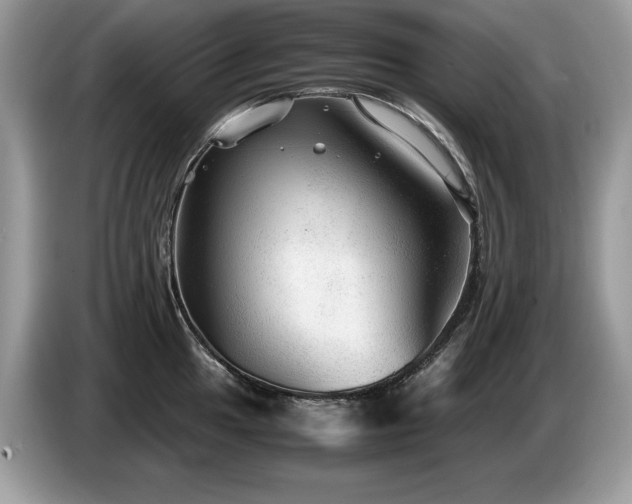 X0000087581049200704271301
