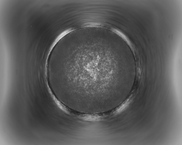 X0000087581050200704271301