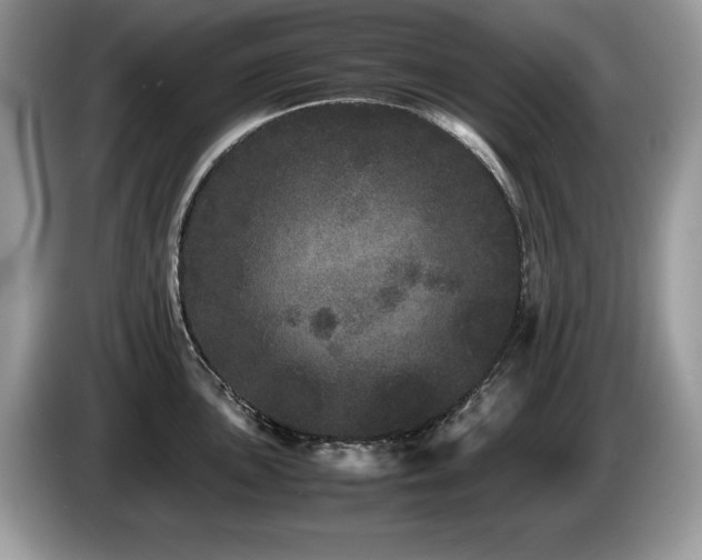 X0000087581051200704271302