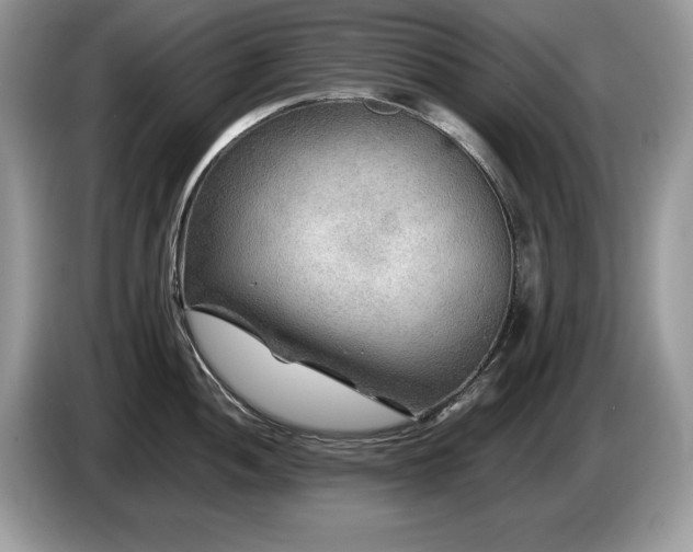 X0000087581052200704271302