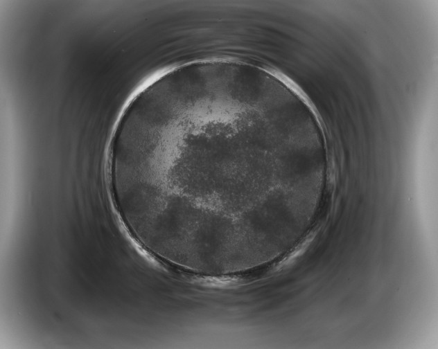 X0000087581053200704271302